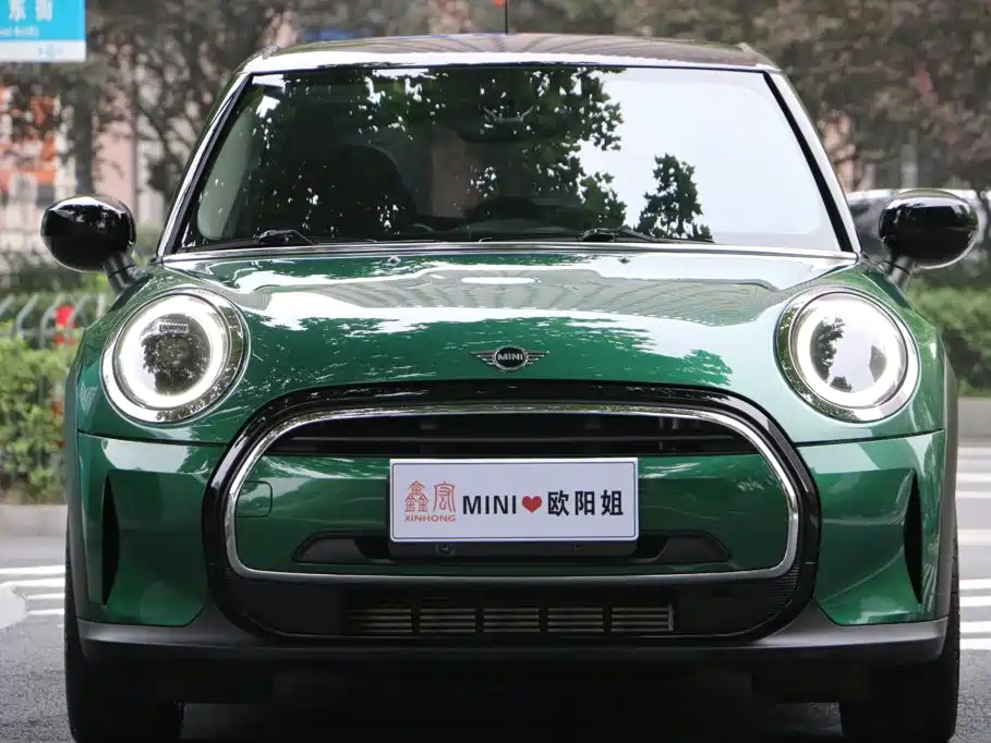 MINI MINI 2024