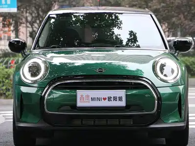 MINI MINI 2024