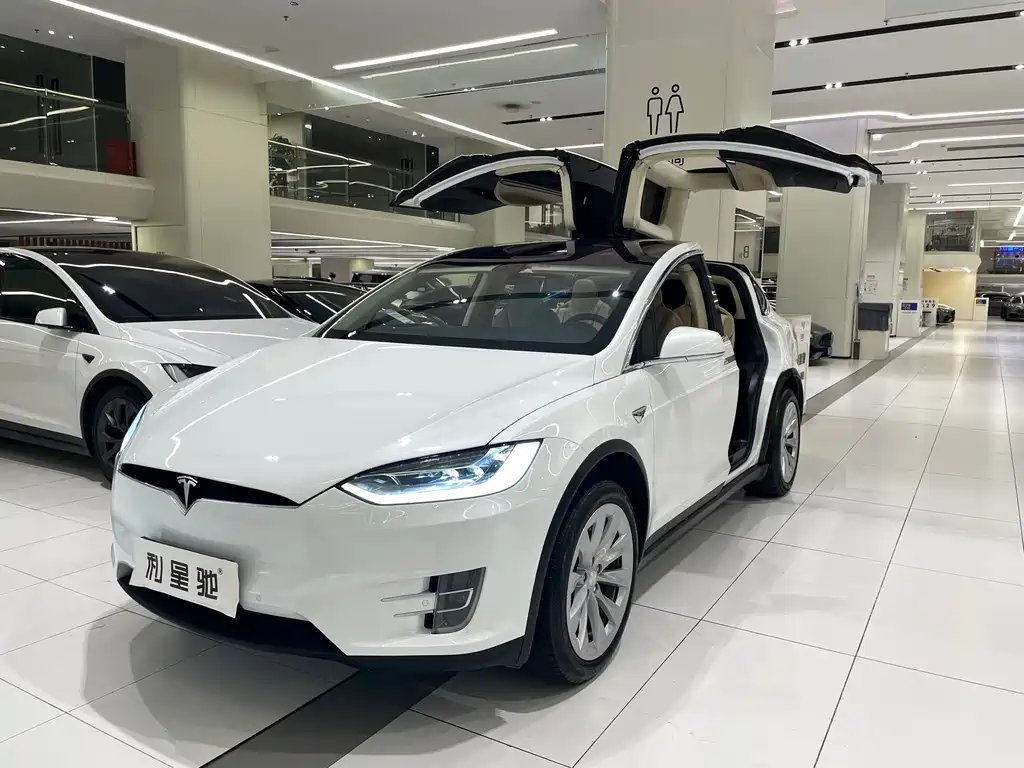 Tesla Model X 2017 — фото 1