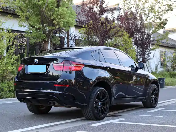BMW X6 M 2010