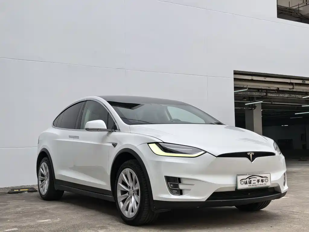 Tesla Model X 2019 — фото 3