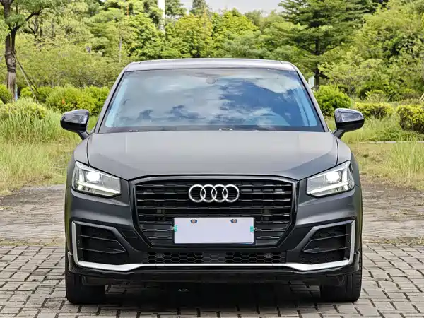Audi Q2L 2020