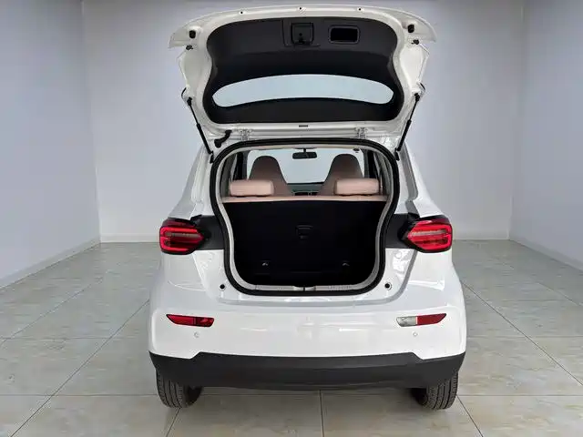 Leapmotor T03 2024 — фото 15