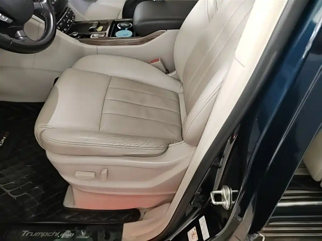 GAC Motor Trumpchi M8 2019 — фото 15