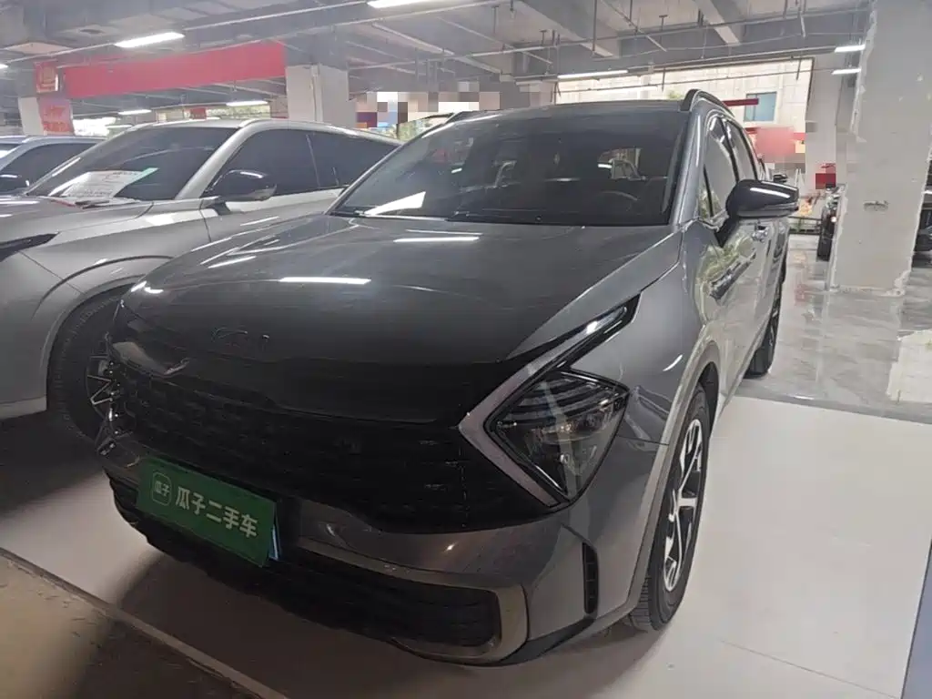 Kia Lion Platinum Expands The Boundary 2024 — фото 2