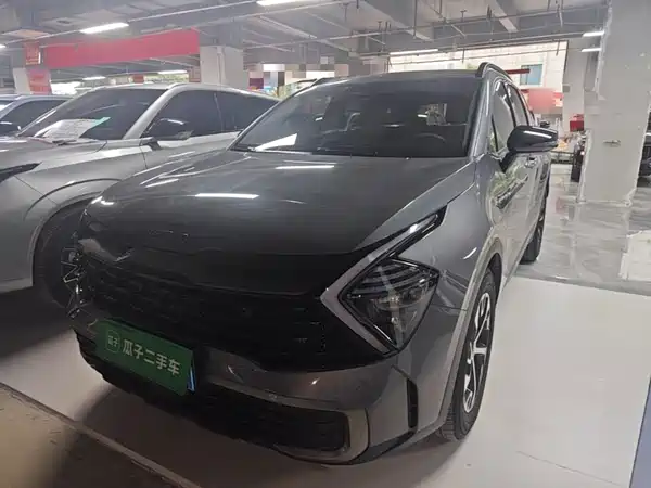 Kia Lion Platinum Expands The Boundary 2024