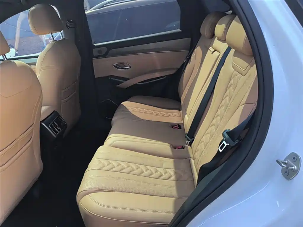 BYD L DM-i 2024 — фото 17
