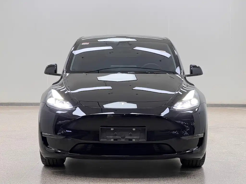 Tesla Model Y 2023 — фото 2