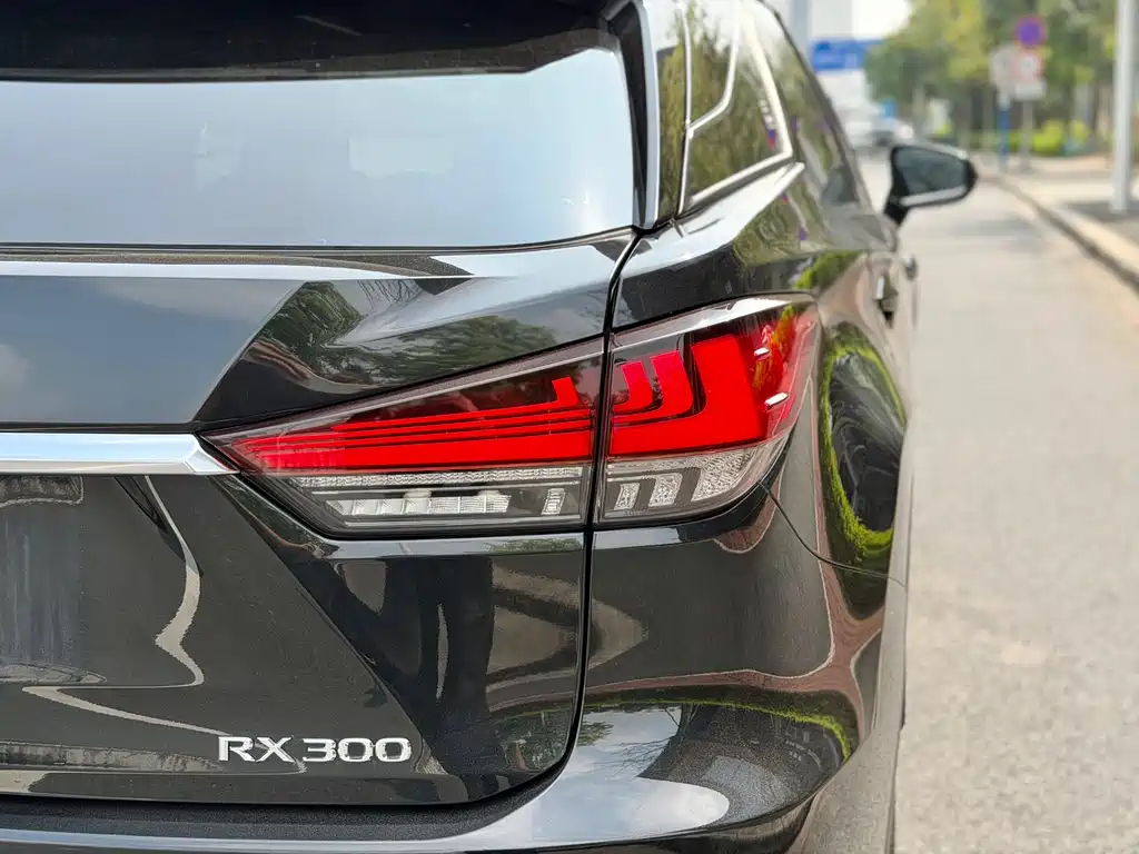 Lexus RX 2020 — фото 9
