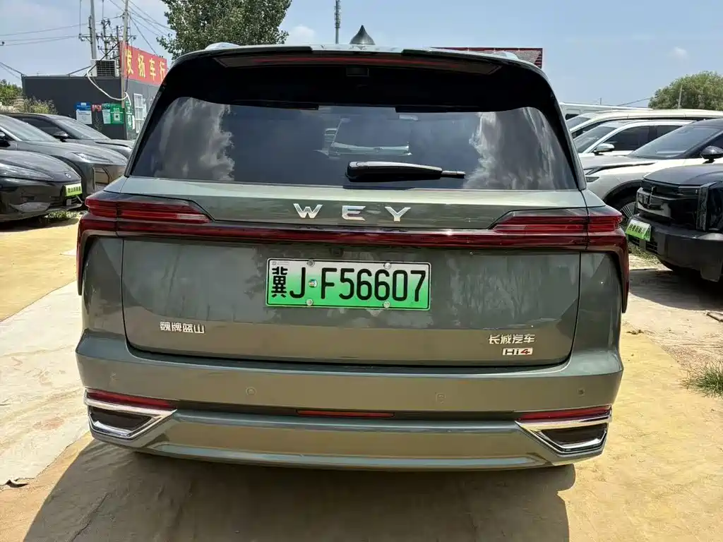 Wey Lanshan 2025