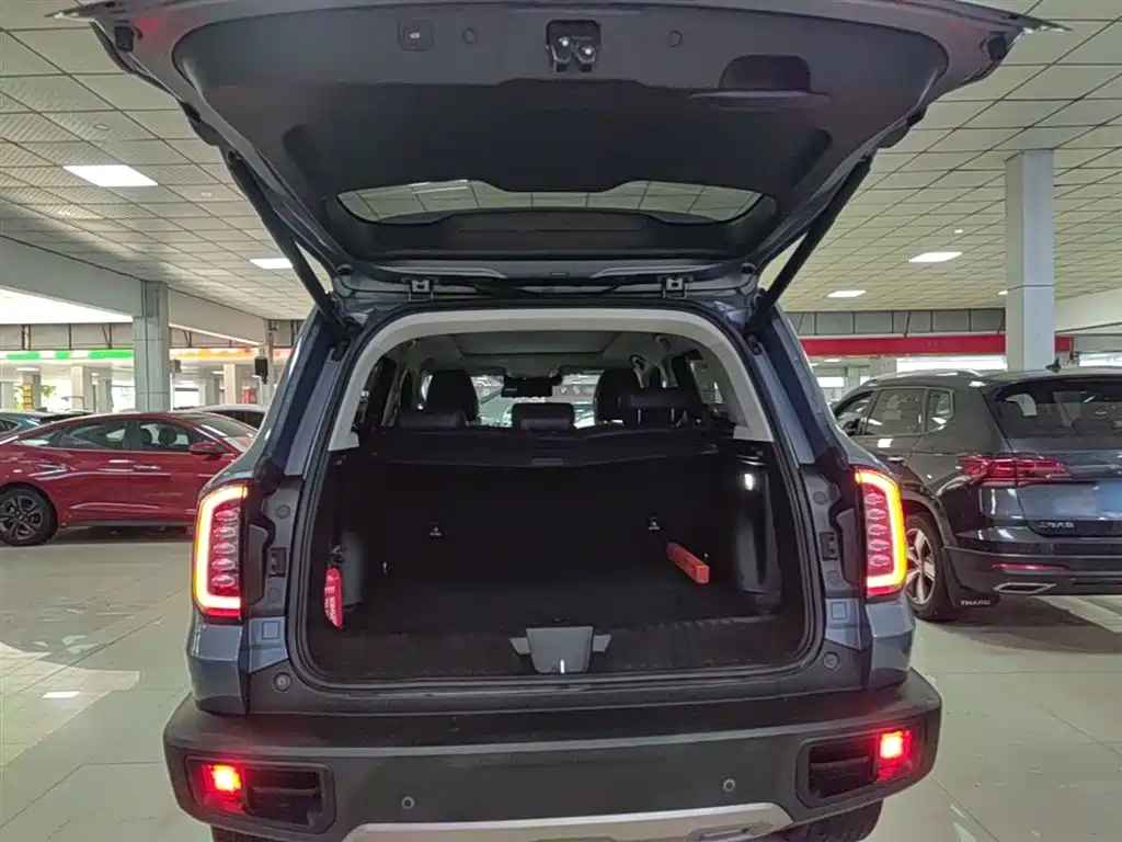 Haval Big Dog 2022 — фото 19