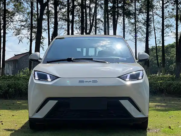 BYD Seagull 2023