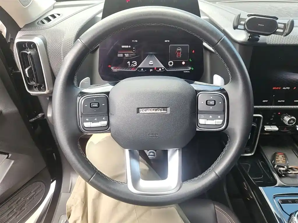 Haval Big Dog 2021 — фото 11