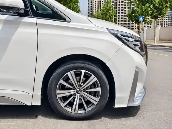 GAC Trumpchi M8 2020