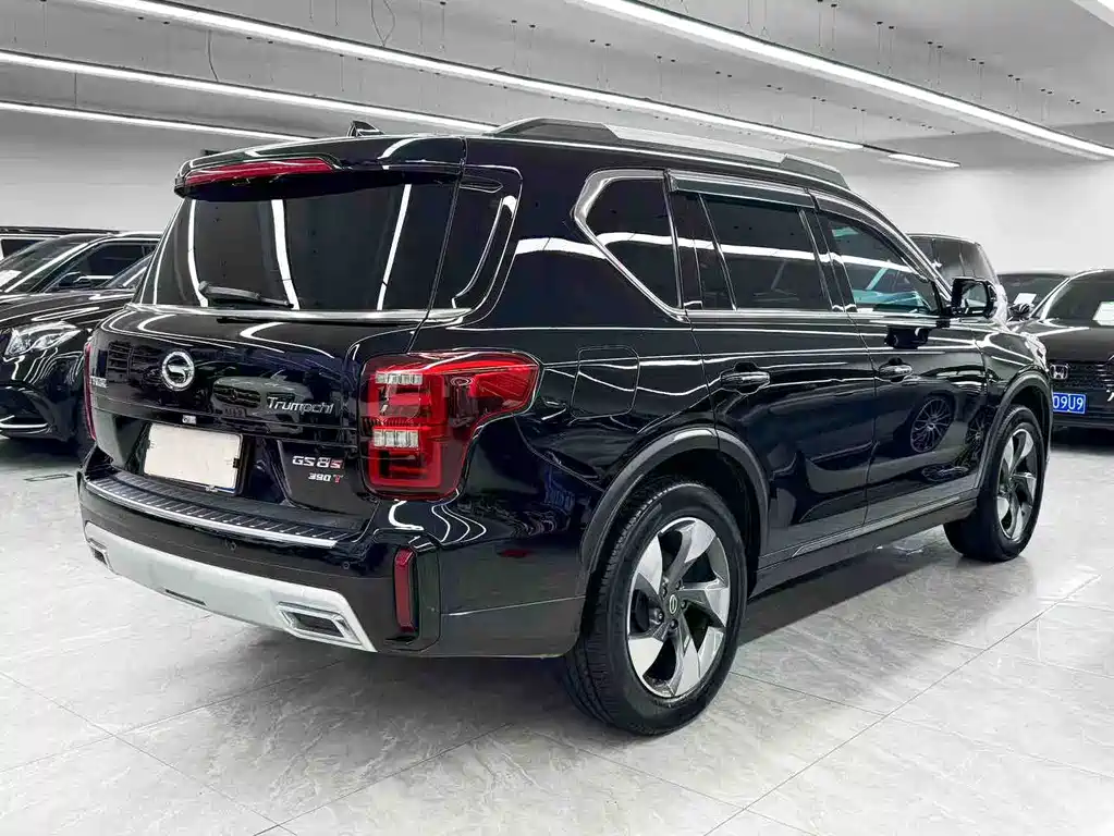 GAC Trumpchi GS8 2021 — фото 4