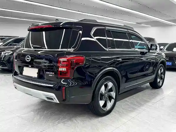 GAC Trumpchi GS8 2021