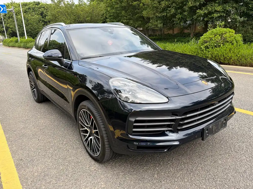 Porsche Cayenne 2020 — фото 16