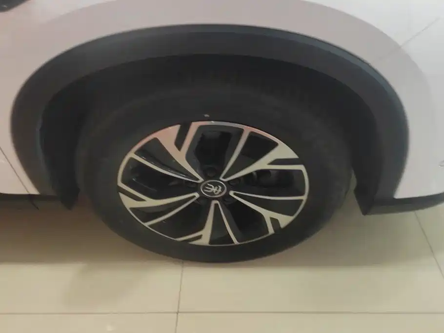 BYD Song Pro New Energy 2025 — фото 6