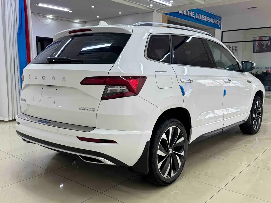 Skoda Karoq 2021 — фото 6