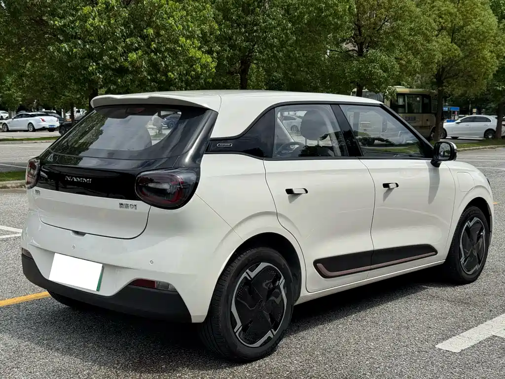 Dongfeng Nano 01 2025