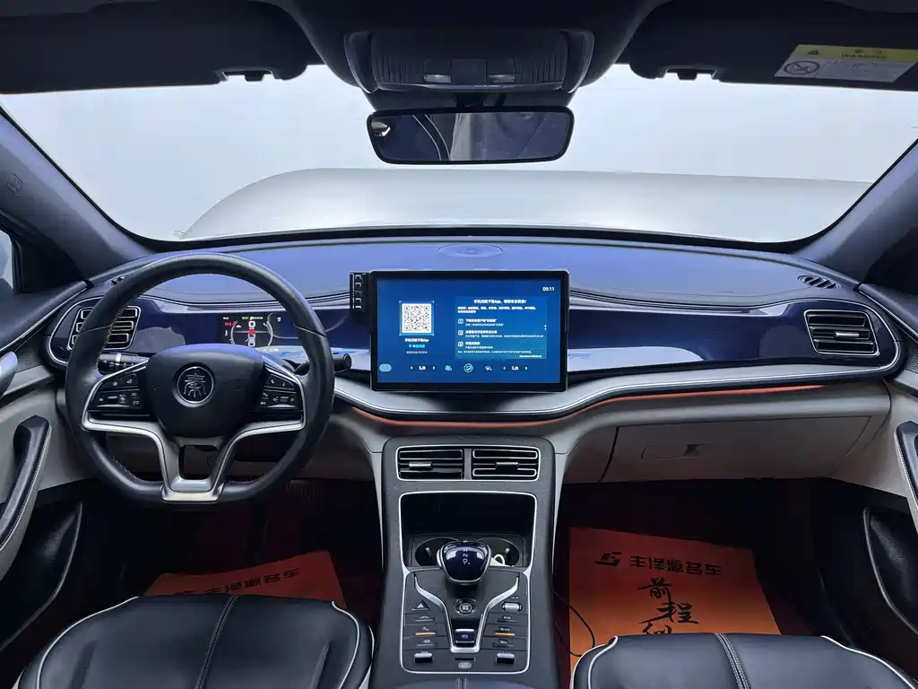 BYD Qin PLUS 2022 — фото 9