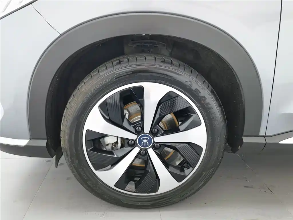 BYD PLUS New Energy 2023 — фото 17