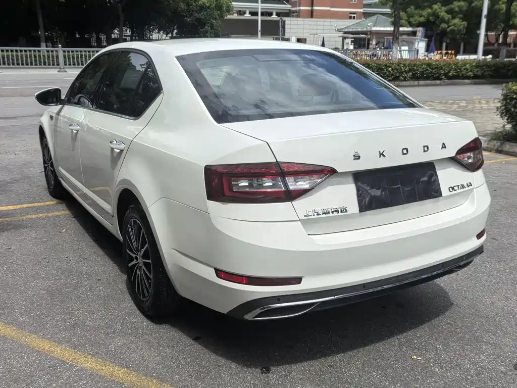 Skoda Octavia 2019 — фото 9