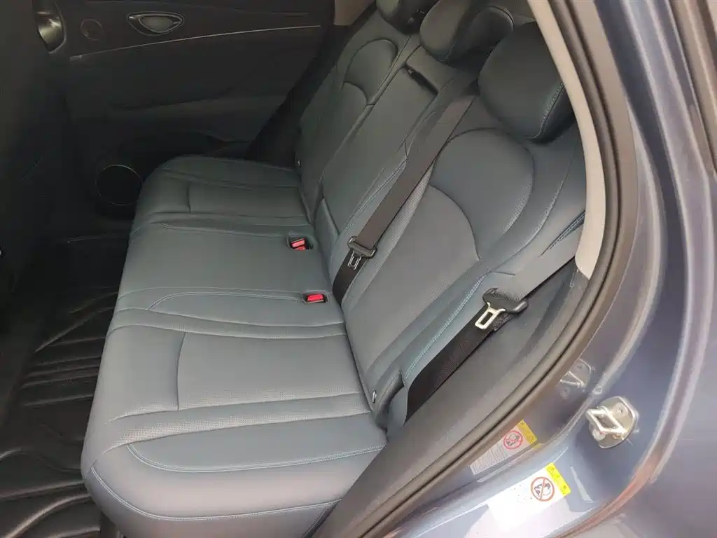 BYD Sealion 07 DM-i 2025 — фото 18