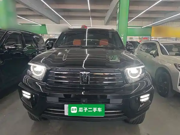 Tank 700 New Energy 2025