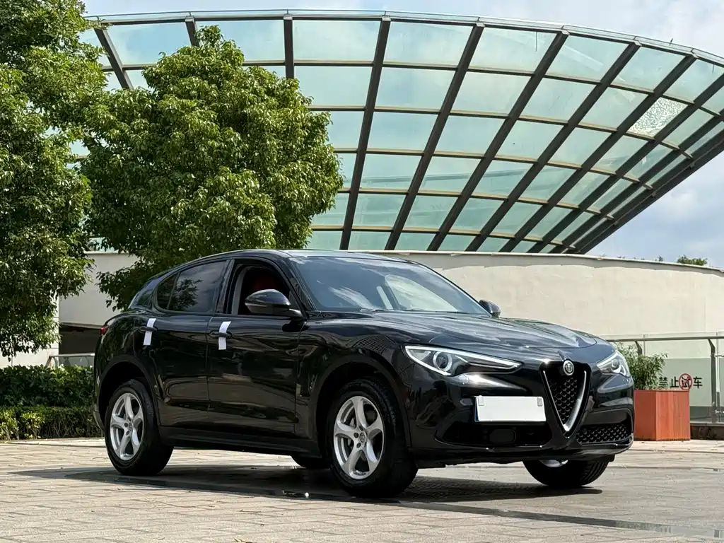 Alfa Romeo Stelvio 2019 — фото 3