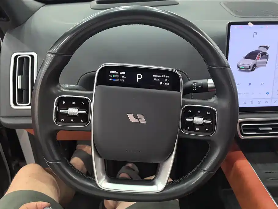 Li Auto Li L6 2024 — фото 15