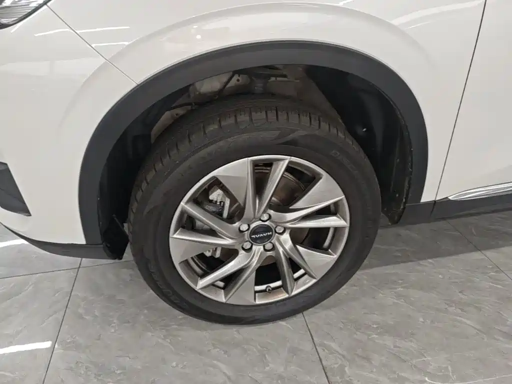 Haval H6 New Energy 2023 — фото 23