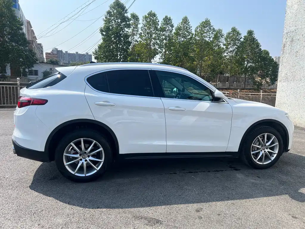 Alfa Romeo Stelvio 2019 — фото 23