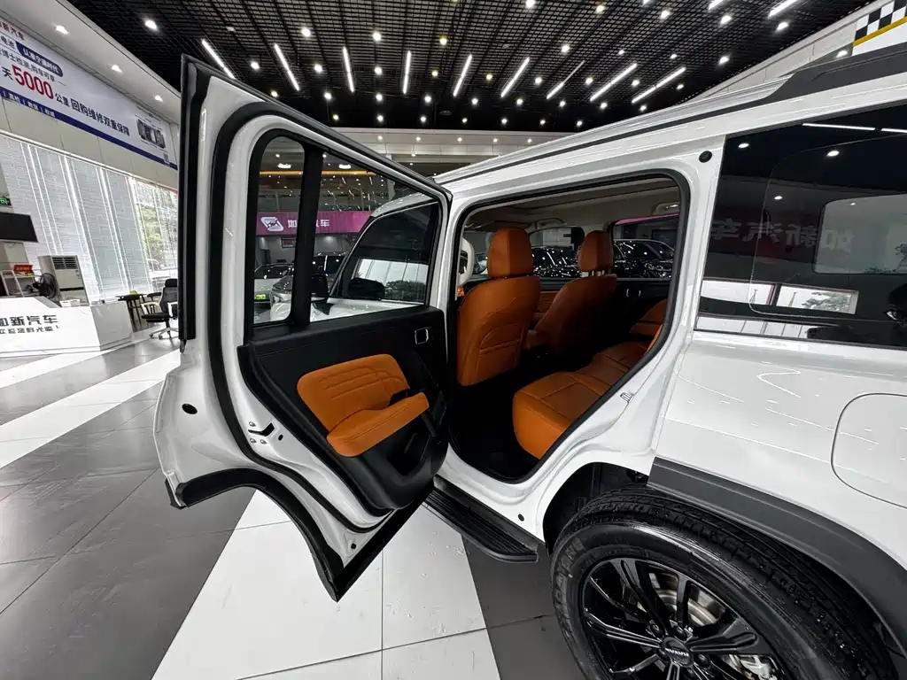 Haval Raptors New Energy 2024 — фото 16