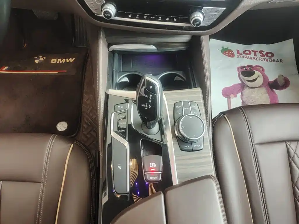 BMW 5 Series 2020 — фото 14