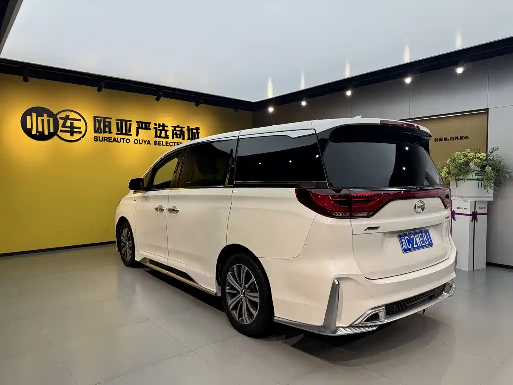 GAC Motor Trumpchi M8 2020 — фото 10