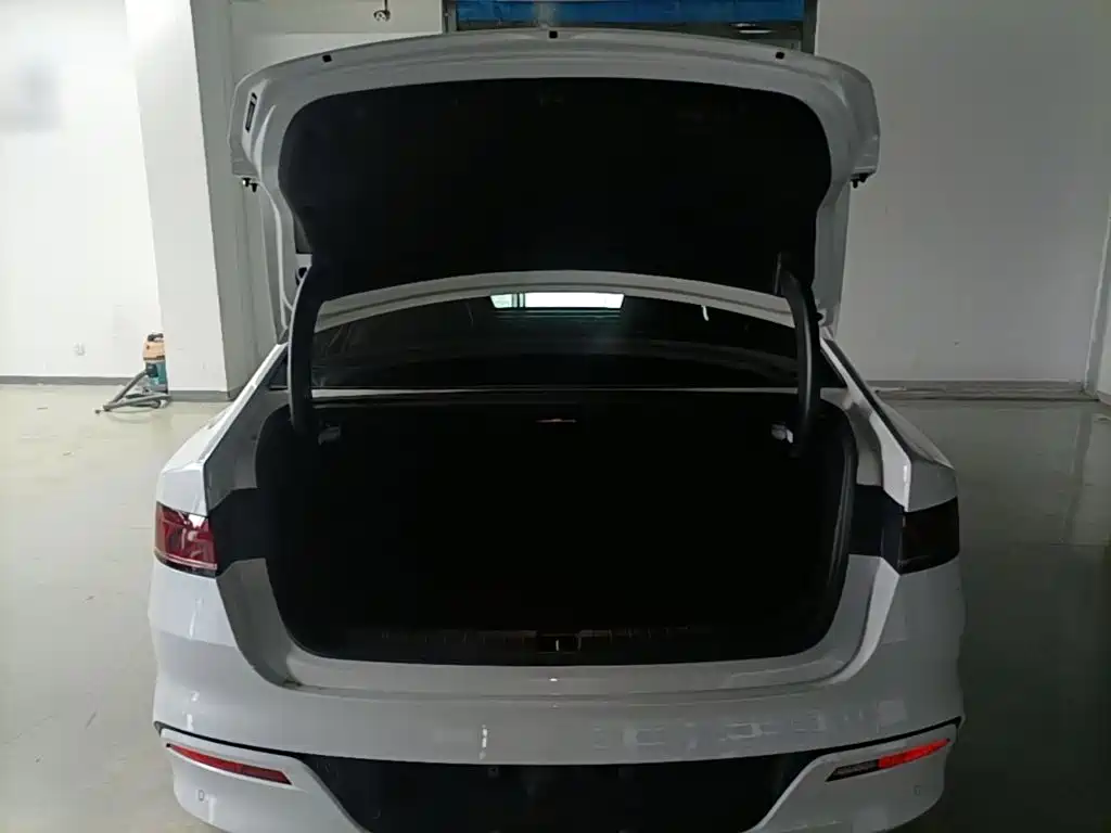 BYD Qin PLUS 2021 — фото 19