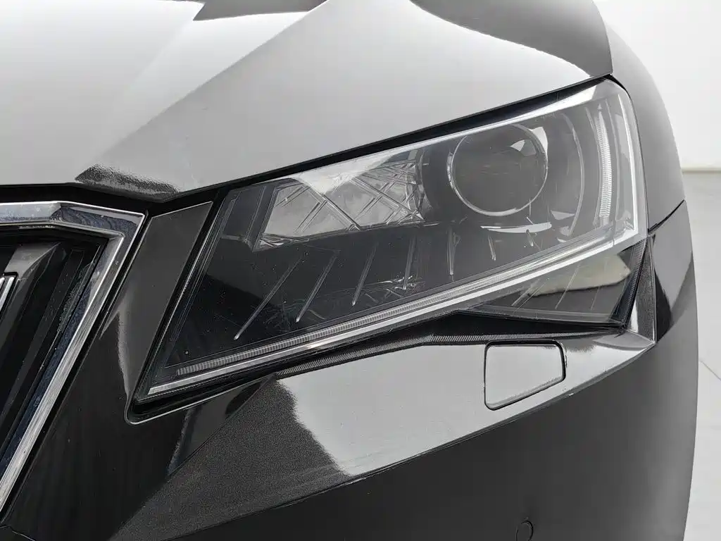 Skoda Speedy 2017