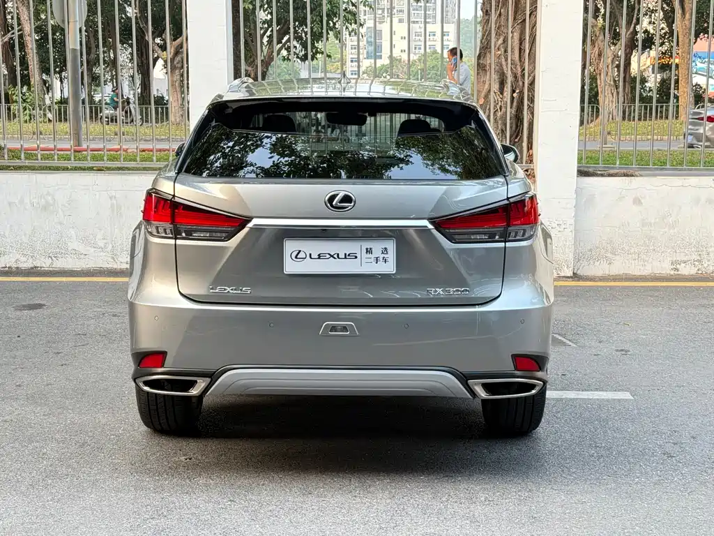 Lexus RX 2020 — фото 5