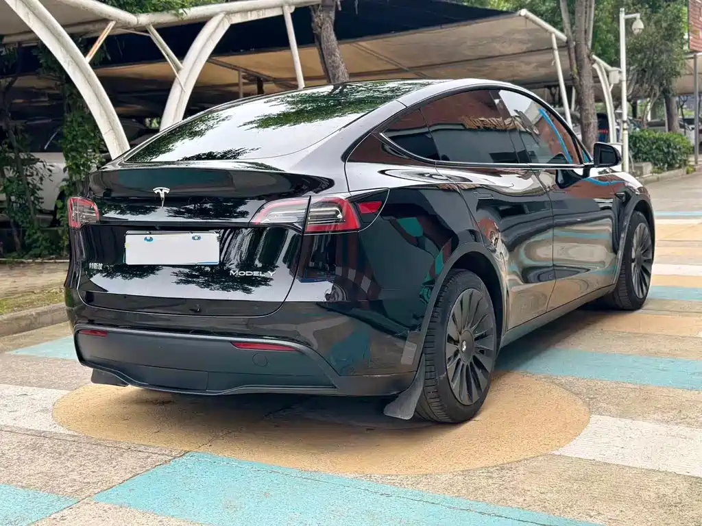 Tesla Model Y 2023 — фото 6