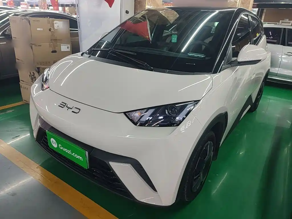 BYD Seagull 2024