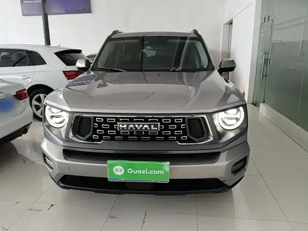 Haval Dog PLUS 2024