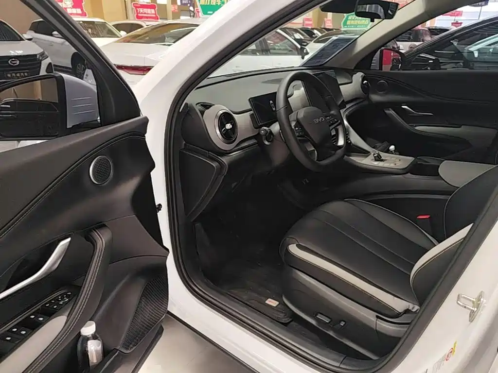 BYD Sealion 05 DM-i 2025 — фото 16