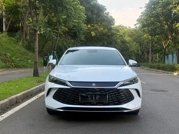 BYD Qin L 2024