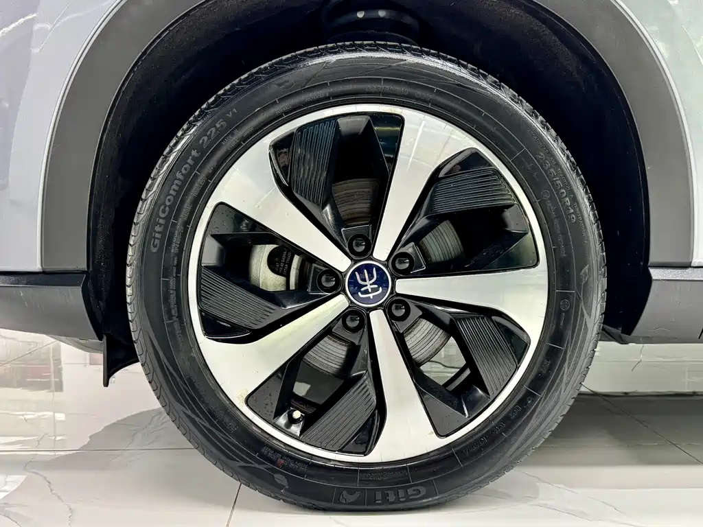 BYD PLUS New Energy 2023 — фото 22