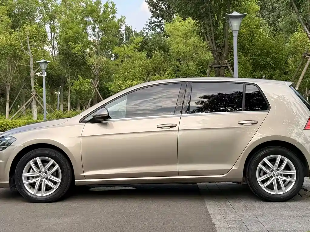 Volkswagen Golf 2019 — фото 25