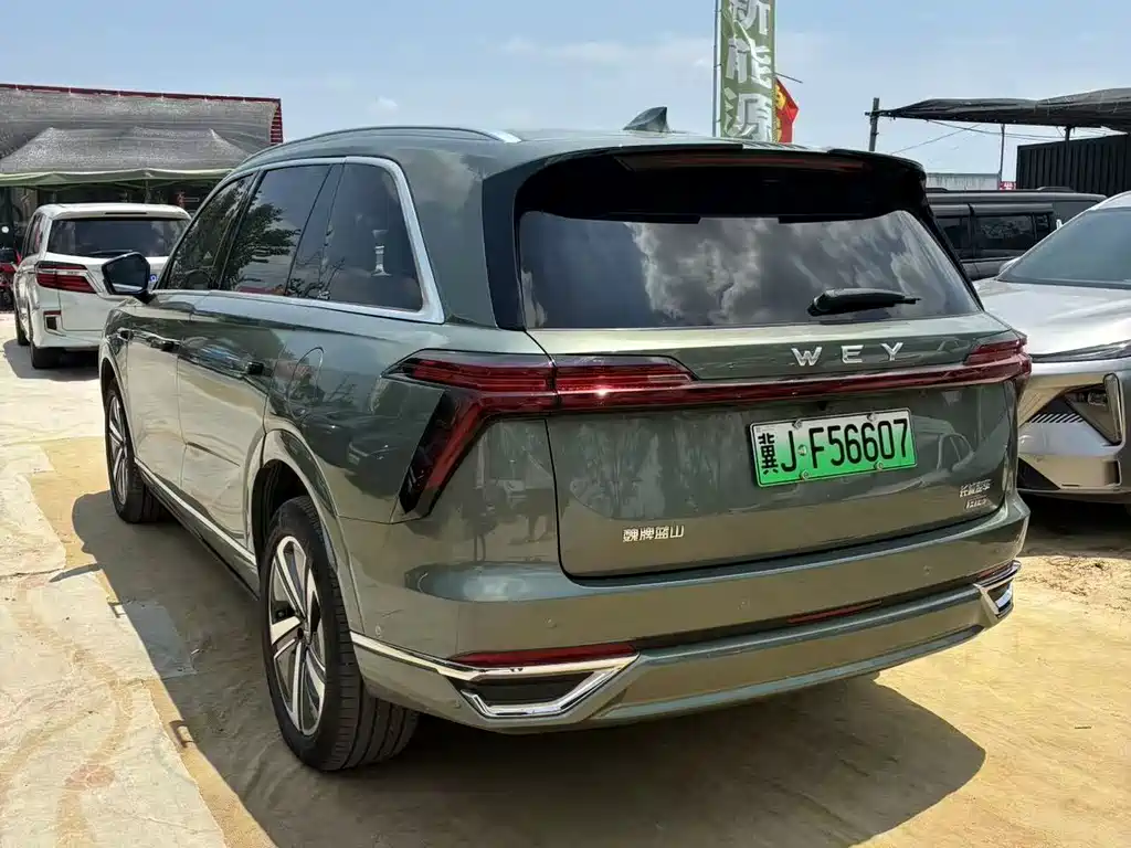 Wey Lanshan 2025