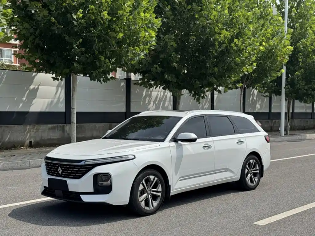 Baojun Valli 2021