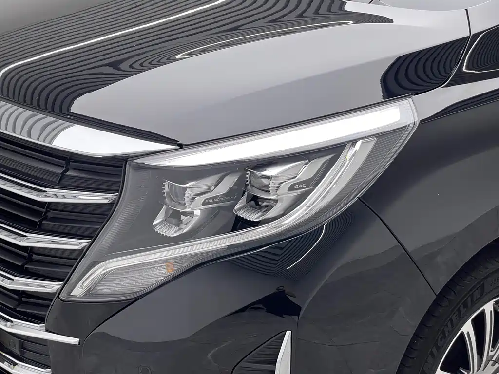 GAC Motor Trumpchi M8 2022 — фото 18