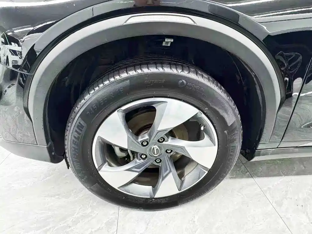 GAC Trumpchi GS8 2021 — фото 25